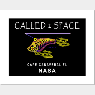 Lure of Space Nasa, Cape Canaveral, Called 2 Space Posters and Art